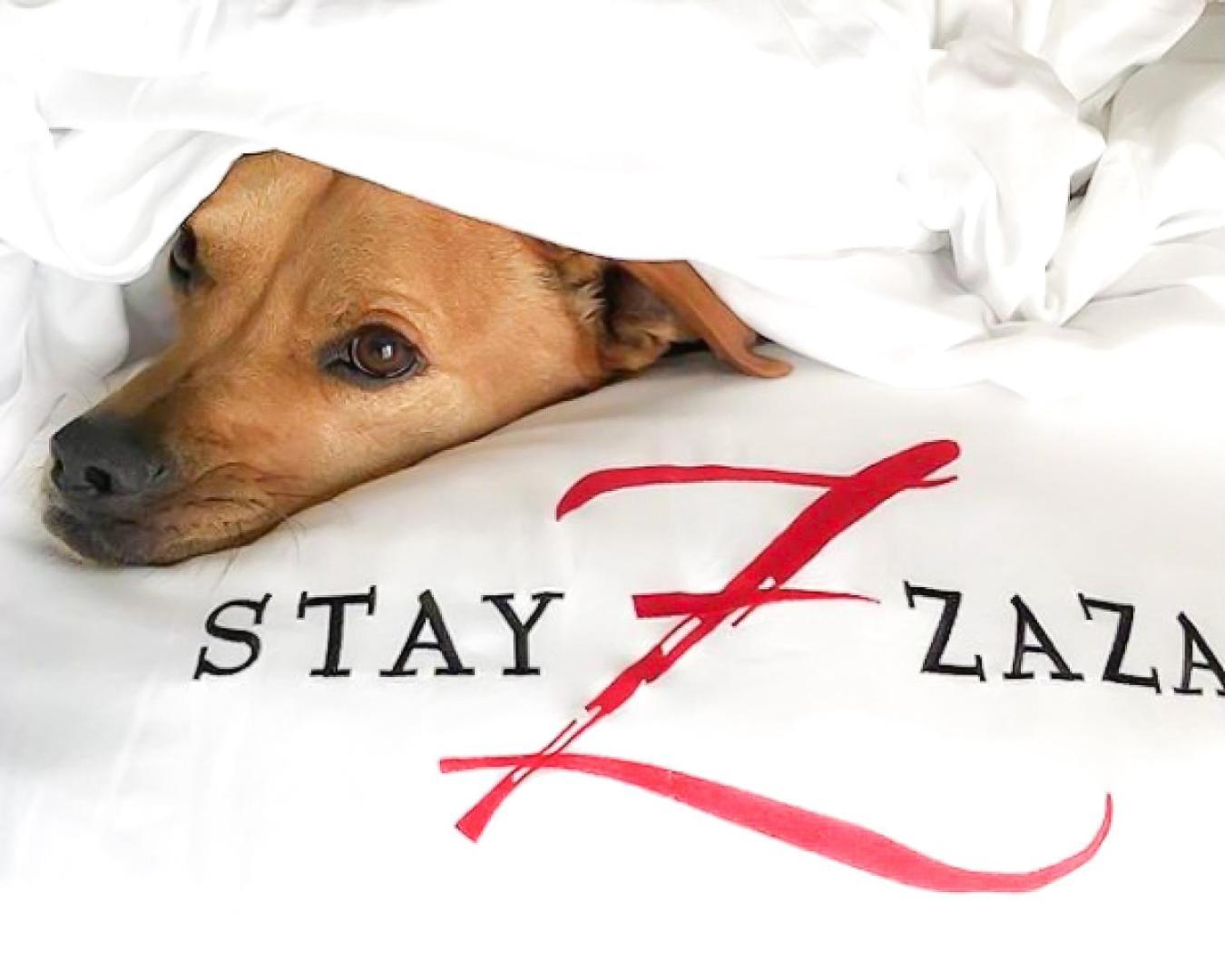 Hotel Zaza Austin Zewnętrze zdjęcie